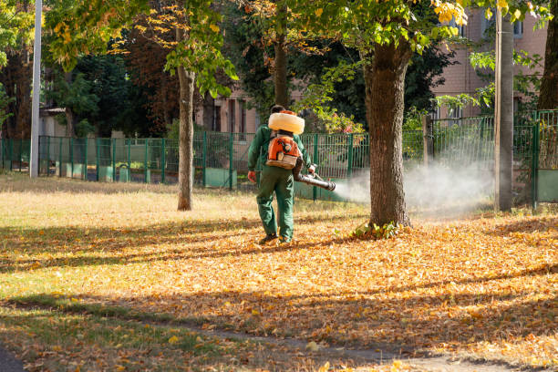 Pest Control Cost in Orinda, CA